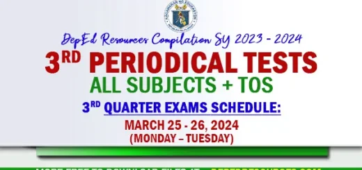 ready made 3rd periodical tests